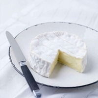 Soft Cheese With Bloomy Rind